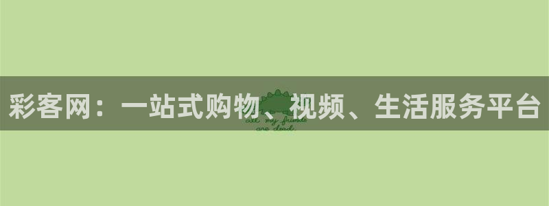足球比分500网