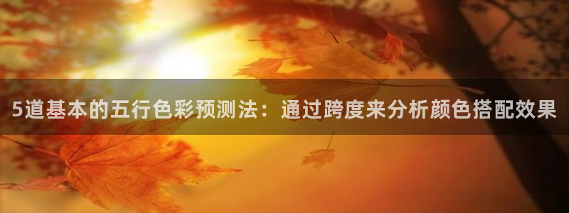 500网app是什么软件