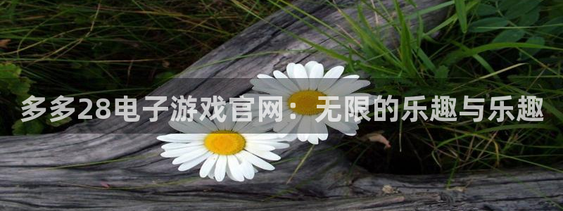 500网凯利值指数