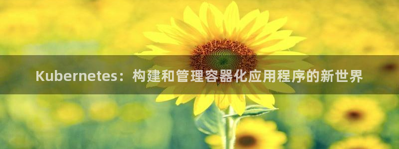 今天是球比赛500网