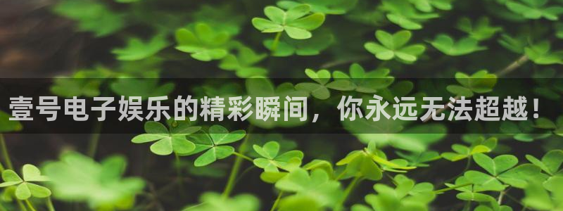 500网每年十月份赠送彩金是真的吗：壹号电子娱乐的精彩瞬间，你永远无法超越！