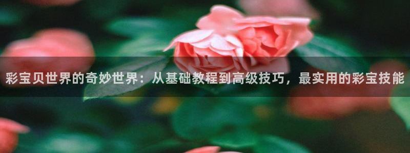 500网三地试机号：彩宝贝世界的奇妙世界：从基础教程到高级技巧，最实用的彩宝技能