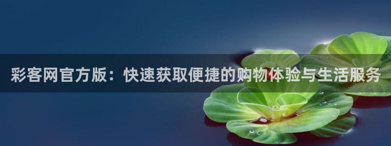 500网足球赛程：彩客网官方版：快速获取便捷的购物体验与生活服务