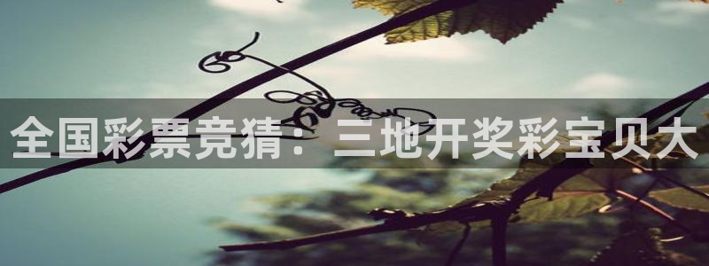 500网竞彩比分直播：全国彩票竞猜：三地开奖彩宝贝大
