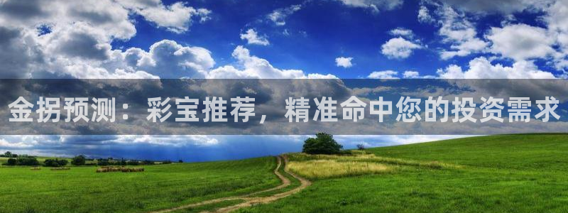 500网为什么看不了指数了：金拐预测：彩宝推荐，精准命中您的投资需求